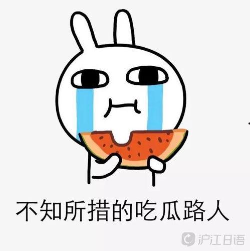 小希吃瓜酱,揭秘网红美食背后的故事