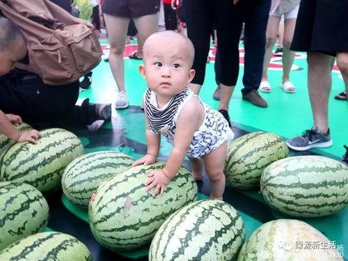 吃瓜大钢,揭秘娱乐圈幕后真相