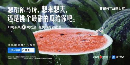 吃瓜选手文案图片,揭秘吃瓜选手的文案魅力