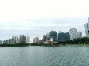 郑州吃瓜广场,揭秘城市生活百态的“瓜田”