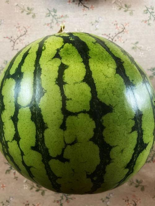 南宁演艺学校最新吃瓜,揭秘校园最新“吃瓜”事件