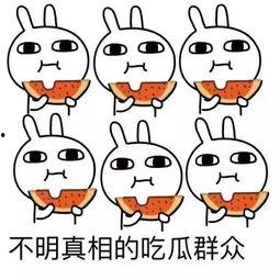 抱着吃瓜的头像,揭秘“抱着吃瓜”头像背后的趣味人生