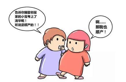 每日吃瓜汇总怀孕