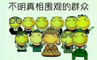 吃瓜第N,探寻娱乐圈背后的秘密与真相