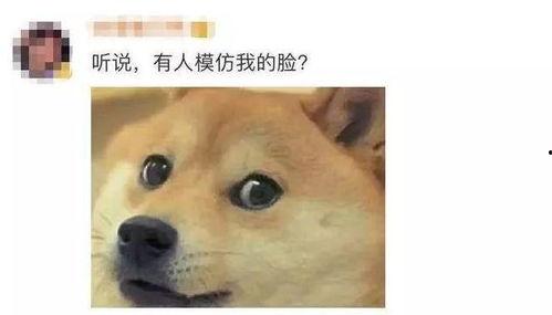 评论吃瓜回复狗头,网络时代的幽默新宠