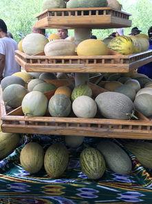 吃瓜观娱,吃瓜群众视角下的精彩瞬间