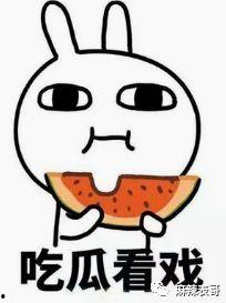 吃瓜的资格,揭秘那些年我们一起吃过的瓜