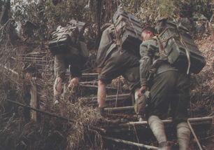 开炮吃瓜视频大全,盘点热门视频大全