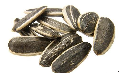 吃瓜要配瓜子,瓜子相伴，畅享夏日清凉时光