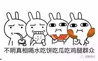 对吃瓜的态度,理性围观，品味生活百态