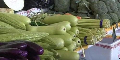 苦线瓜可以吃吗,揭秘其食用价值与食用方法