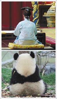 中山圈吃瓜群众,吃瓜群众热议，揭秘热门话题背后的真相