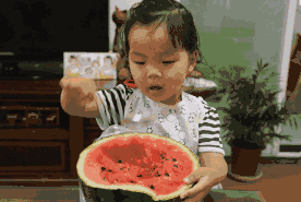 立秋吃瓜吃饺子动态,瓜果飘香饺子香，传统习俗新风尚