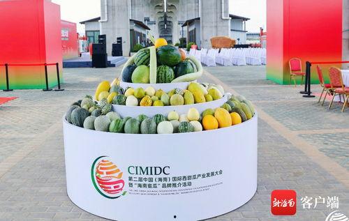 吃瓜大会2024,年度娱乐圈大事件盘点