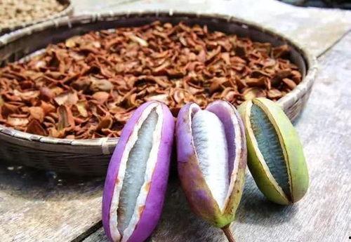 奥特曼吃八月瓜,奥特曼的八月瓜奇遇记