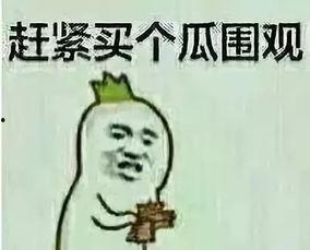 吃瓜群众头像抱着一个瓜,吃瓜群众怀抱瓜果，萌态十足