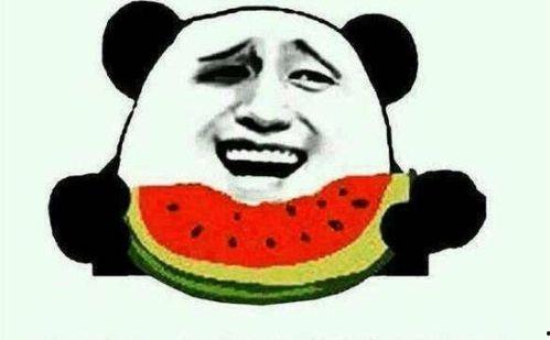 凯佬吃瓜记,揭秘娱乐圈幕后风云