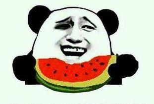 吃瓜伤感,伤感背后的吃瓜人生