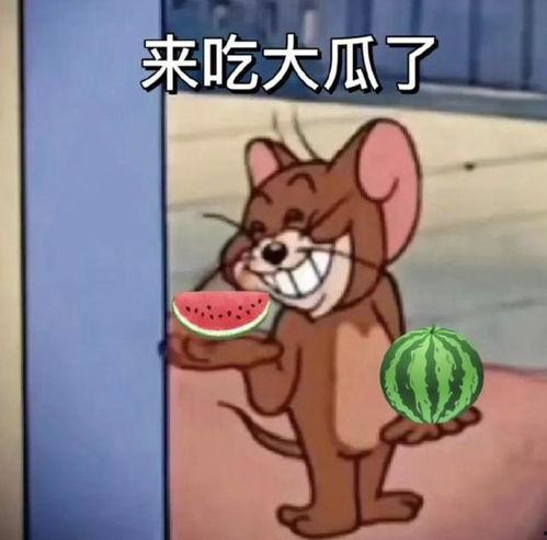 大佬吃瓜,揭秘娱乐圈幕后风云