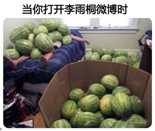 各种比赛吃瓜