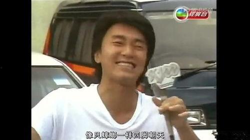 周星星吃瓜猪猪