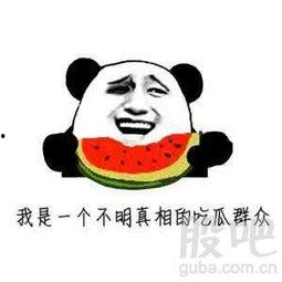 我们在吃瓜群众