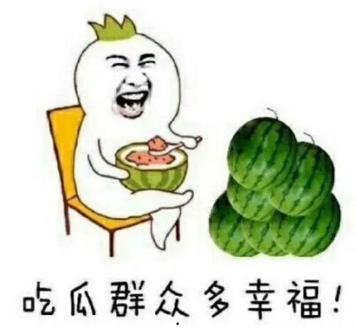 快乐吃瓜筒,快乐吃瓜筒带你畅游八卦盛宴